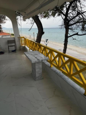 CHANIOTI LUXURY FIRST LINE BY MAKHOMe